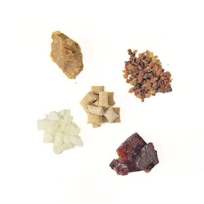 Underbrush Remineralizing Chewing Gum – Nano-Hydroxyapatite Formula for Stronger Teeth & Gums